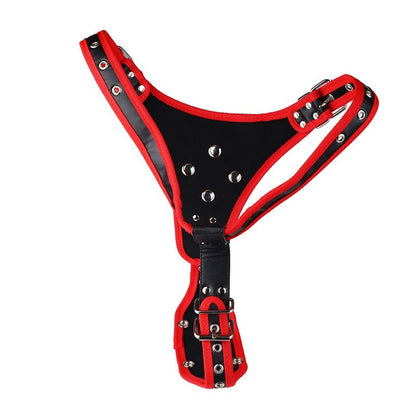 Strap on Dildo LovePlay™ AlwaysHard, din piele ecologica si silicon non-toxic, design universal si ajustabil - LovePlay